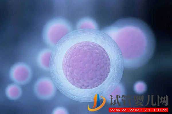 別糾結試管卵泡長得快好還是慢好，弄清原因才是關鍵(圖2)