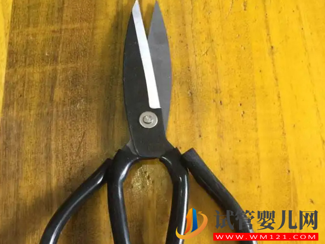 備孕很久卻懷不上不要怕，試試民間很靈的風(fēng)水化解法(圖3)