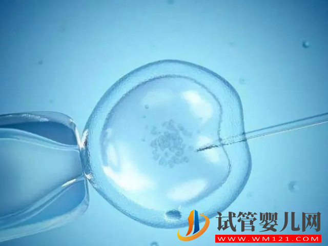 泰國十大正規試管醫院排名分享，尋找適合自己的醫院(圖1)