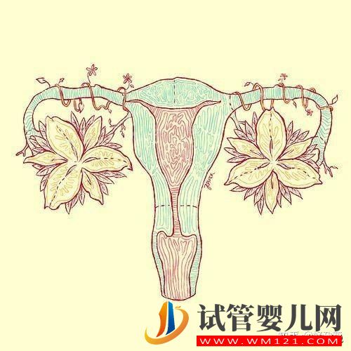 胚胎質量好,移植卻頻頻失敗 什么原因造成？(圖2)