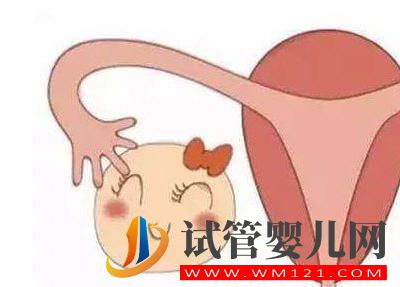 做試管嬰兒需要多少卵子？是越多越好嗎？(圖1)