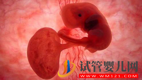 如何早期診斷胎停育？(圖1)