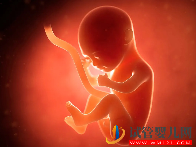 4個分辨生男女的方法超準，最早滿8周即可驗出性別(圖2)