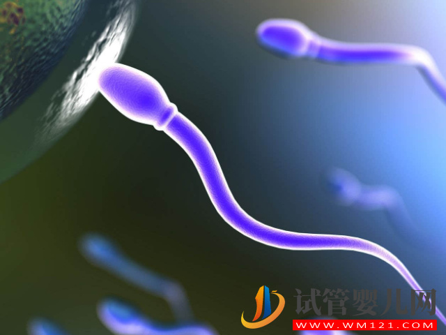 男人想生男孩的5個(gè)孕前準(zhǔn)備，積極調(diào)理y精子才是關(guān)鍵(圖2)