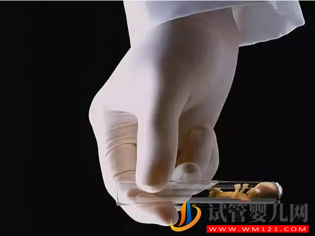 一代二代三代試管區(qū)別盤點(diǎn)，適用人群、價(jià)格差異化很大(圖1)