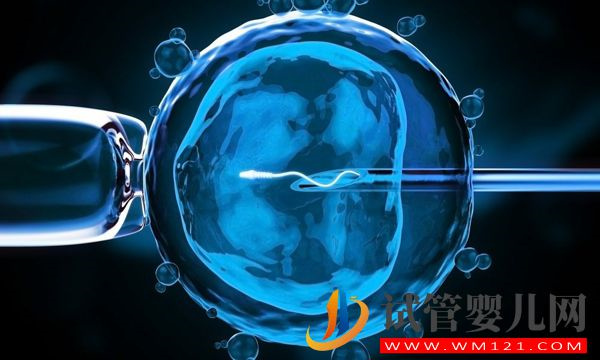 les美國(guó)合法做試管全攻略一覽，流程、費(fèi)用這里都有！(圖4)