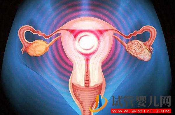 停經(jīng)想做供卵試管嬰兒？這四個條件滿足成功率直接翻番(圖2)