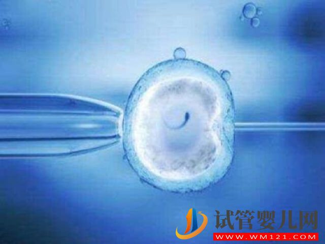 寧波婦幼和113哪家醫(yī)院做試管成功率更高？(圖2)