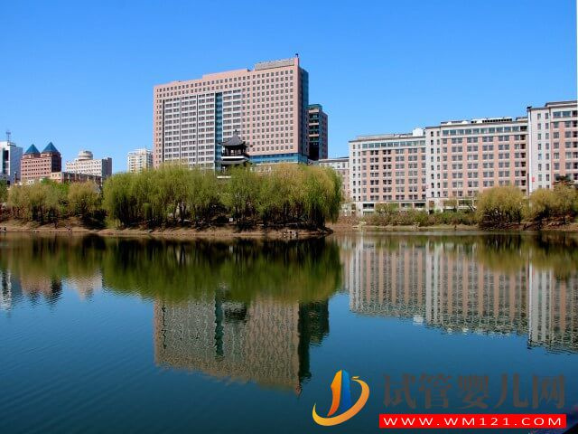 在杭州邵逸夫醫院可以做供卵試管嗎？(圖1)