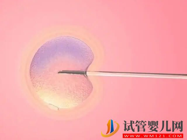 在鄭州申請供卵試管技術助孕大概要等多久？(圖1)