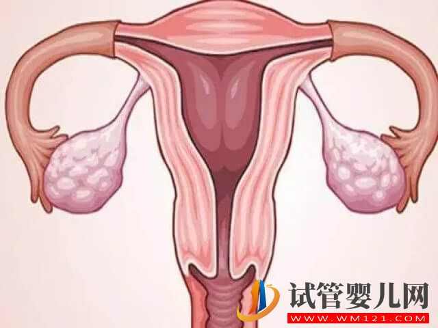 40歲女性在唐山做試管的成功率最高能達多少？(圖2)