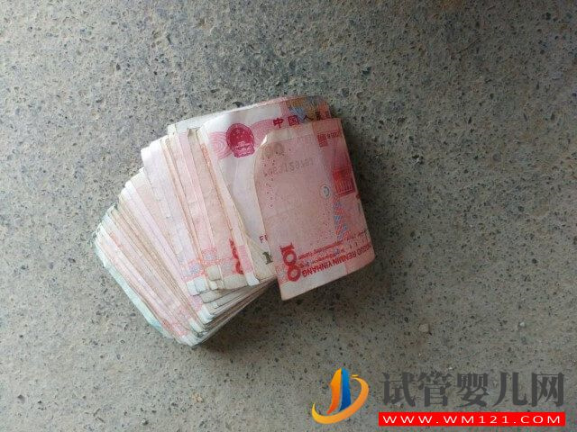 濱州試管嬰兒全流程的總費用大約要多少？(圖1)