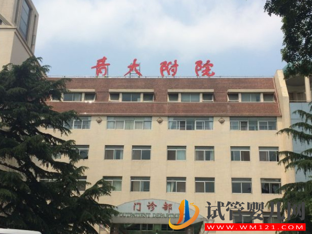 青島試管嬰兒移植成功率高的醫院是哪個？(圖2)