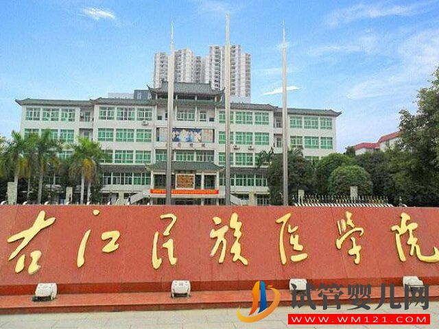 百色附屬醫院生殖中心有提供試管助孕技術嗎？(圖1)