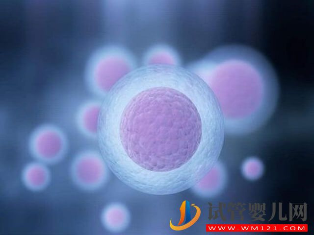 按國家規(guī)定廣西可以供精生二胎了嗎？(圖1)