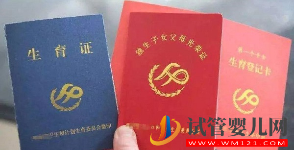 西藏三胎最新政策：公務員生三胎有無產(chǎn)假，補貼罰款標準(圖5)