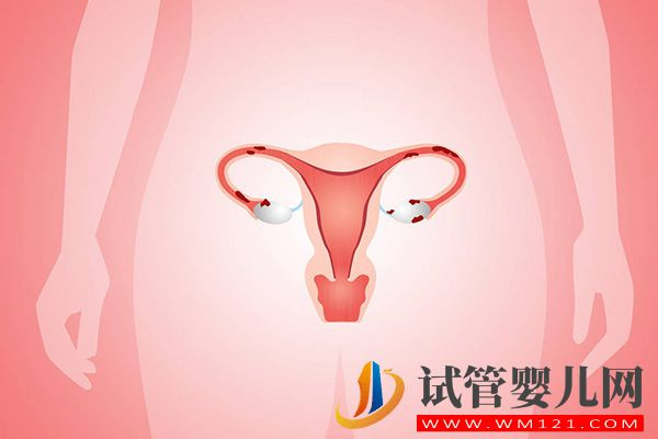 試管刮診后至少2-3個月才能進周期，手術最佳時間可做參考(圖3)