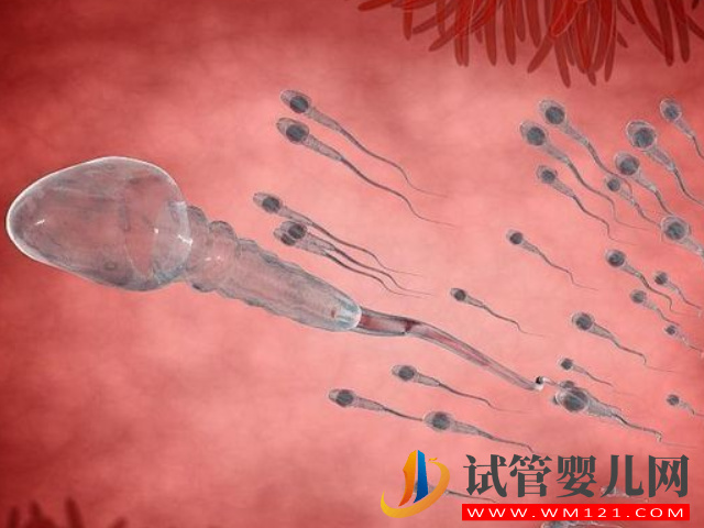 同房后判斷精子進入輸卵管的方法，沒生育需求做好緊急避孕(圖1)