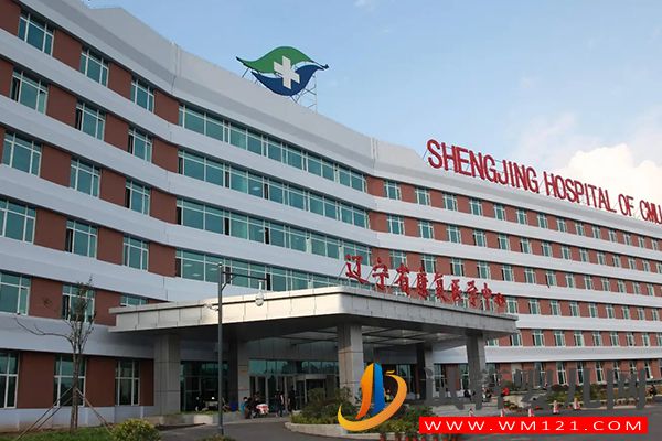 東北三省試管嬰兒好醫院推薦，排名第一非這家莫屬(圖3)