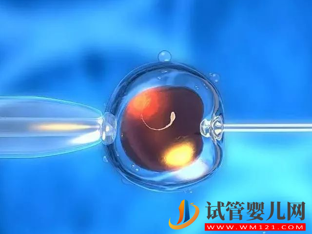 去大連的三甲醫院做試管嬰兒需要多少錢？(圖3)