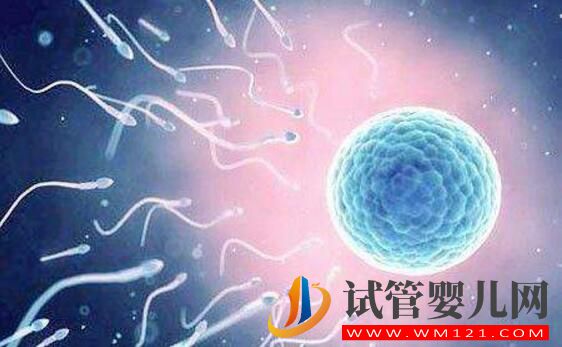 無精癥可以做試管嬰兒嗎?對(duì)無精癥的誤解有哪些(圖3) 無精癥可以做試管嬰兒嗎?對(duì)無精癥的誤解有哪些(圖3)