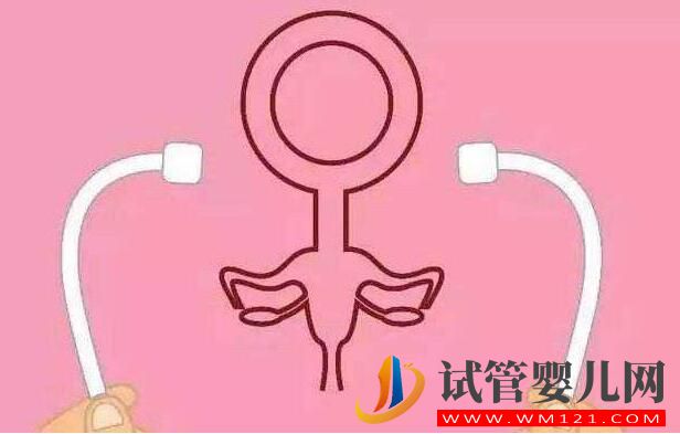高齡女性卵巢功能低,試管手術可以做嗎(圖3) 高齡女性卵巢功能低,試管手術可以做嗎(圖3)