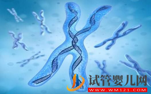 染色體平衡易位能做試管手術嗎 要注意哪些問題(圖3) 染色體平衡易位能做試管手術嗎 要注意哪些問題(圖3)