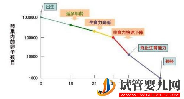 為什么做試管嬰兒要趁早？年齡才是阻礙女性生育的敵人(圖1)