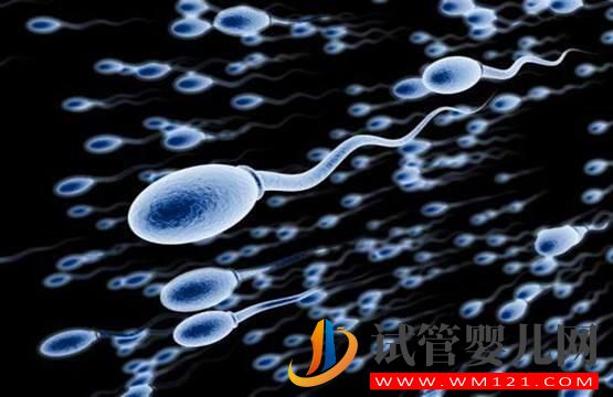 精子質(zhì)量差 做試管嬰兒如何提高精子質(zhì)量和受精率嗎?(圖1) 精子質(zhì)量差 做試管嬰兒如何提高精子質(zhì)量和受精率嗎?(圖1)