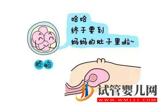 胚胎移植后幾天會著床?有什么反應(圖1) 都勻胚胎移植后幾天會著床?有什么反應(圖1)