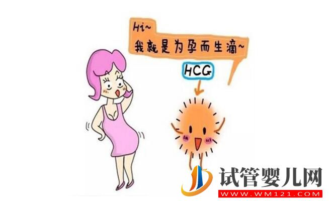 孕酮低就代表著需要保胎嗎?孕酮、HCG與保胎的關(guān)系你了解嗎?(圖3) 孕酮低就代表著需要保胎嗎?孕酮、HCG與保胎的關(guān)系你了解嗎?(圖3)