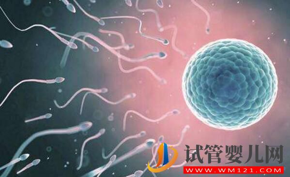 女人結(jié)扎了可以做試管嬰兒?jiǎn)幔縼?lái)看看吧(圖3) 銅仁女人結(jié)扎了可以做試管嬰兒?jiǎn)幔縼?lái)看看吧(圖3)