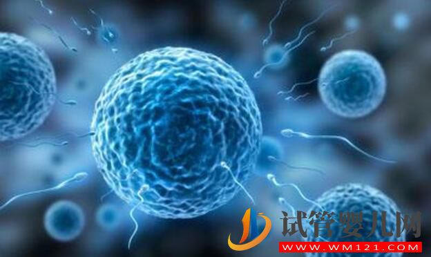 試管嬰兒(IVF)沒做好 可能會帶來哪些風(fēng)險(圖4) 試管嬰兒(IVF)沒做好 可能會帶來哪些風(fēng)險(圖4)