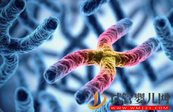 做試管嬰兒一定要降調嗎?是如何降調成功的?(圖1) 做試管嬰兒一定要降調嗎?是如何降調成功的?(圖1)