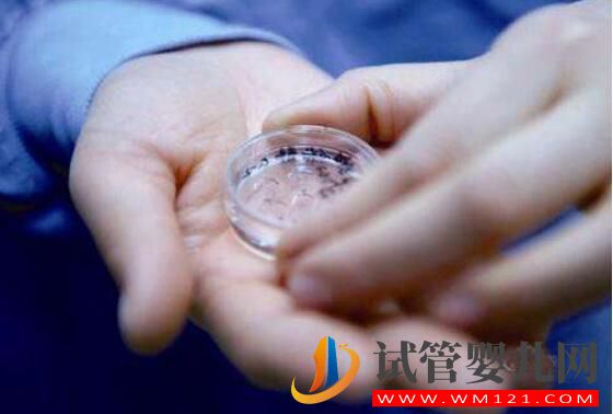 做試管嬰兒一定要降調嗎?是如何降調成功的?(圖4) 做試管嬰兒一定要降調嗎?是如何降調成功的?(圖4)