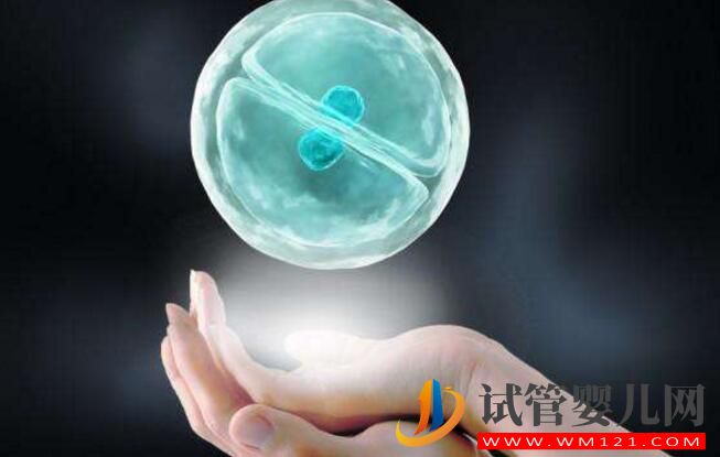 試管嬰兒胚胎移植前、后都有哪些注意事項和常見的問題(圖1) 淄博試管嬰兒胚胎移植前、后都有哪些注意事項和常見的問題(圖1)