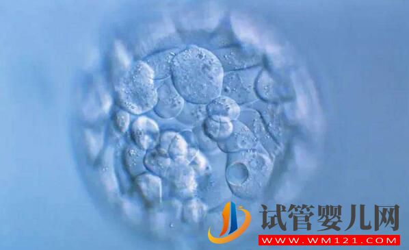 試管嬰兒胚胎移植前、后都有哪些注意事項和常見的問題(圖2) 淄博試管嬰兒胚胎移植前、后都有哪些注意事項和常見的問題(圖2)