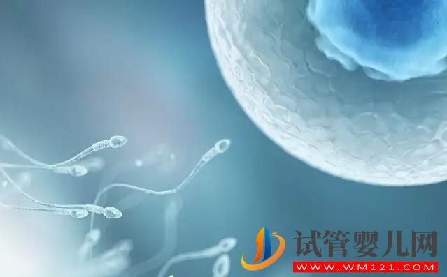 試管嬰兒檢查報(bào)告有效期是多長(zhǎng)？各項(xiàng)檢查都一樣嗎(圖2)