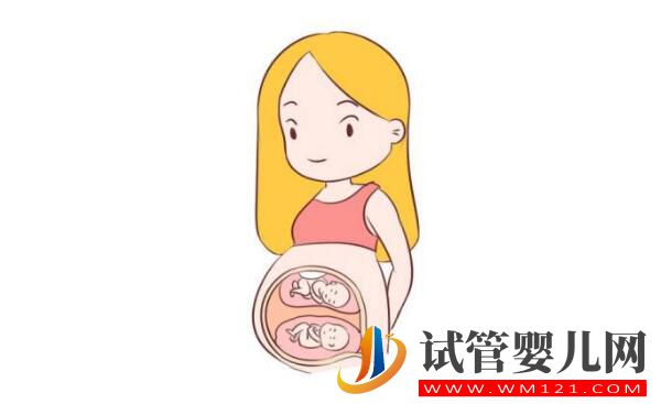 試管嬰兒雙胞胎的幾率有多大,費用一樣嗎?(圖2) 試管嬰兒雙胞胎的幾率有多大,費用一樣嗎?(圖2)