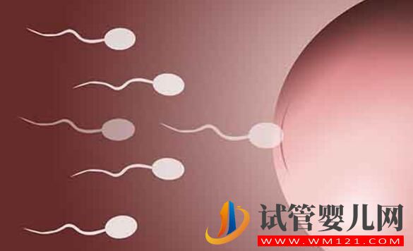 試管嬰兒手術費用 影響試管嬰兒費用的因素有哪些(圖2) 試管嬰兒手術費用 影響試管嬰兒費用的因素有哪些(圖2)
