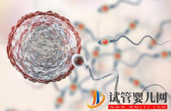 做試管嬰兒聽到的這些術(shù)語你知道是什么意思嗎？(圖1)