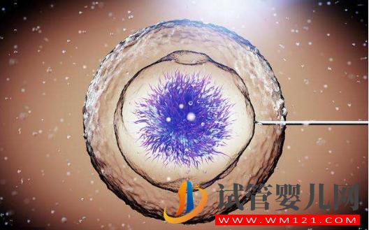 試管嬰兒成功率詳細介紹,高卵子利用率提高成功率(圖2) 試管嬰兒成功率詳細介紹,高卵子利用率提高成功率(圖2)