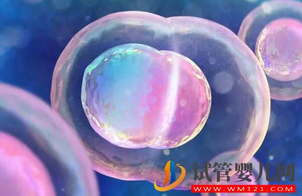 試管嬰兒移植后,胚胎多久能著床?(圖1) 試管嬰兒移植后,胚胎多久能著床?(圖1)