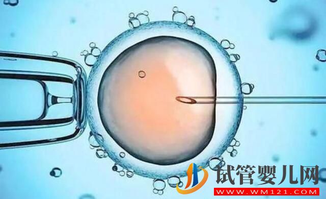 試管嬰兒移植后,胚胎多久能著床?(圖3) 試管嬰兒移植后,胚胎多久能著床?(圖3)