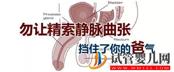 得了弱精子癥別著急,看這篇文章就清楚了(圖2)
