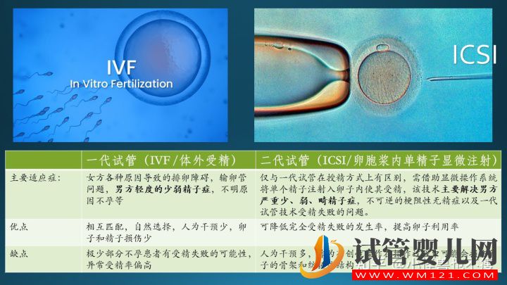 一代試管和二代試管的區(qū)別_畸形率高影響試管成功率(圖3)