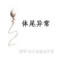一代試管和二代試管的區(qū)別_畸形率高影響試管成功率(圖12)