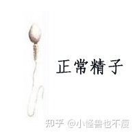 一代試管和二代試管的區(qū)別_畸形率高影響試管成功率(圖7)