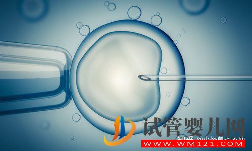 一代試管和二代試管的區(qū)別_畸形率高影響試管成功率(圖5)