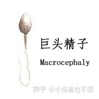 一代試管和二代試管的區(qū)別_畸形率高影響試管成功率(圖8)